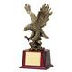 LANDING EAGLE ON WOOD BA 4 STD PACK