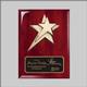 ROSEWOOD 8 X 10 STAR W/B 1 STD PACK