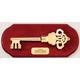 KEY ON PLAQUE 6 STD PACK