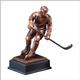 HOCKEY PLAYER 2 STD PACK