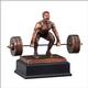 DEADLIFT WEIGHTLIFTER 2 STD PACK