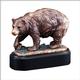 BEAR 7