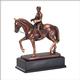 DRESSAGE MALE 10-1/2