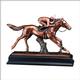 JOCKEY 16