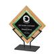 10'' Green Galaxy Acrylic with Bamboo Plaque and Iron Stand